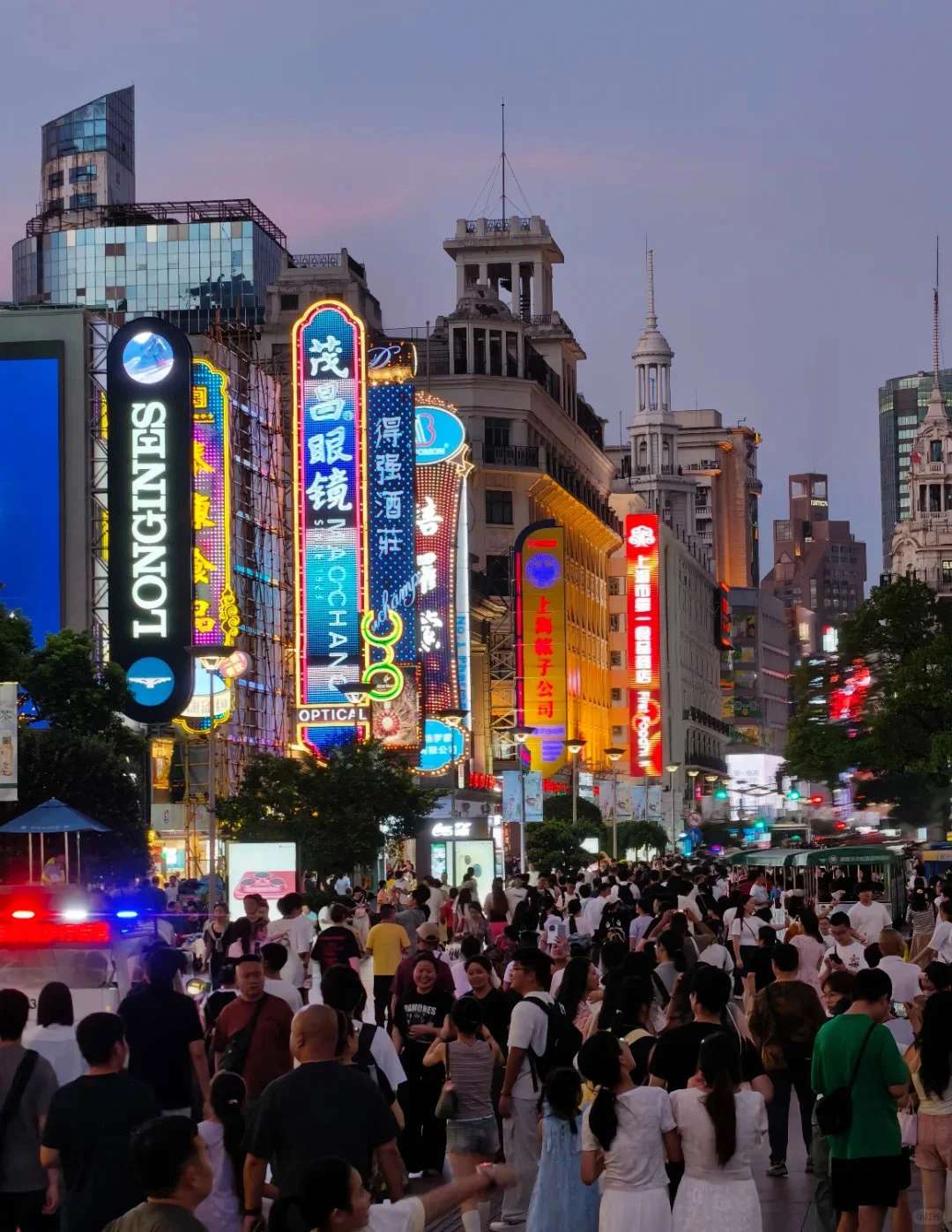 ถนนคนเดินหนานจิง, หนานจิง, Nanjing Road