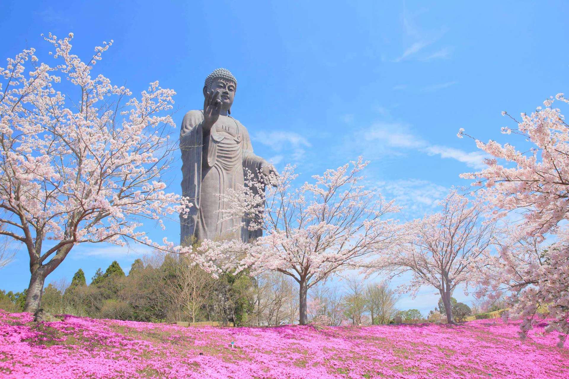 พระใหญ่อุชิคุ อิบารากิ ญี่ปุ่น