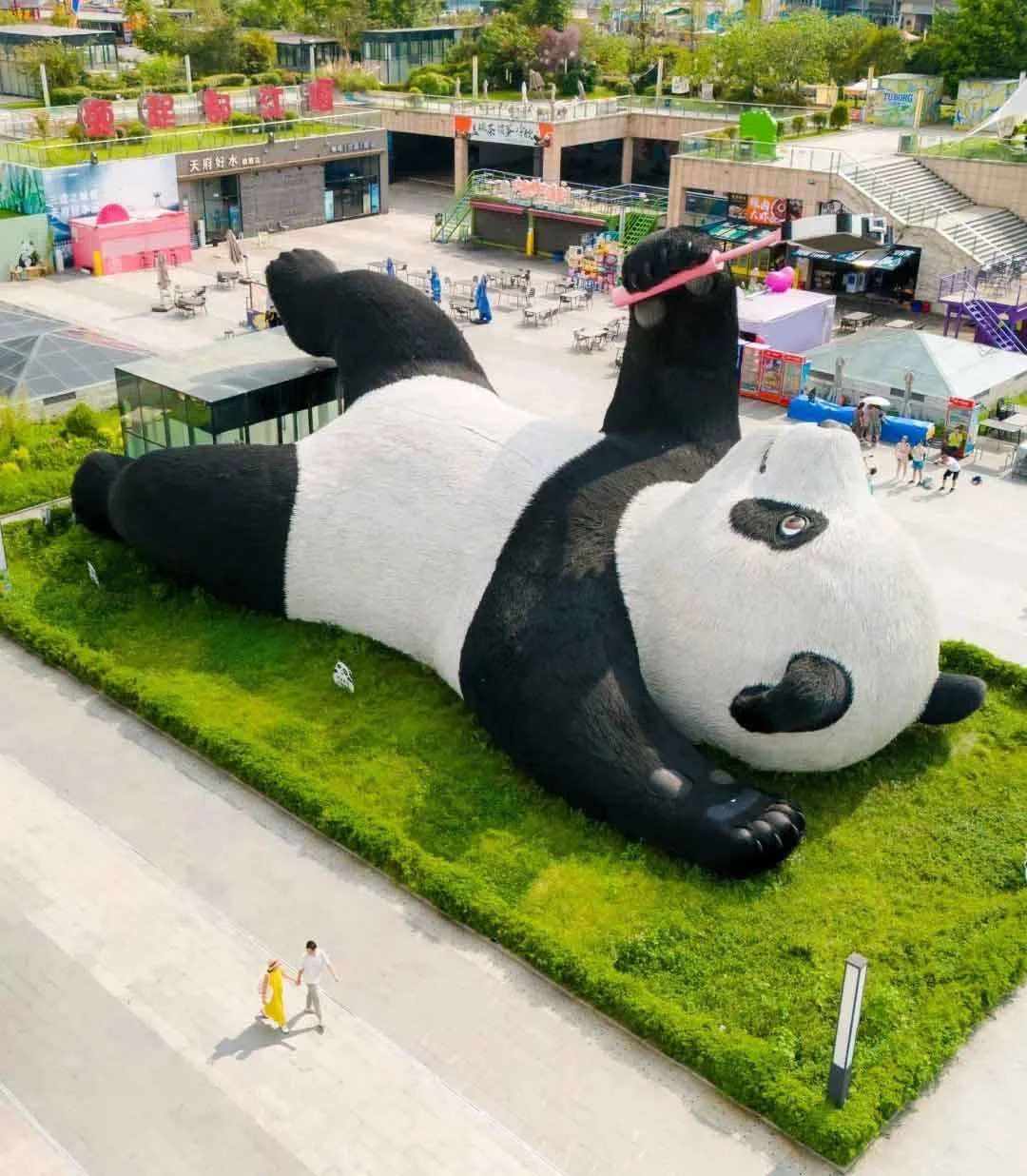 Panda Selfie Dujiangyan เฉิงตู จีน