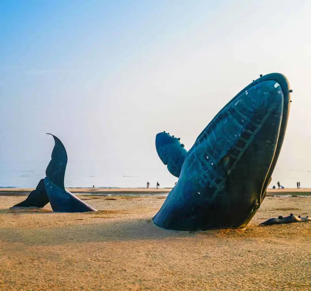 Beach Lonely Whale Yantai เยียนไถ จีน