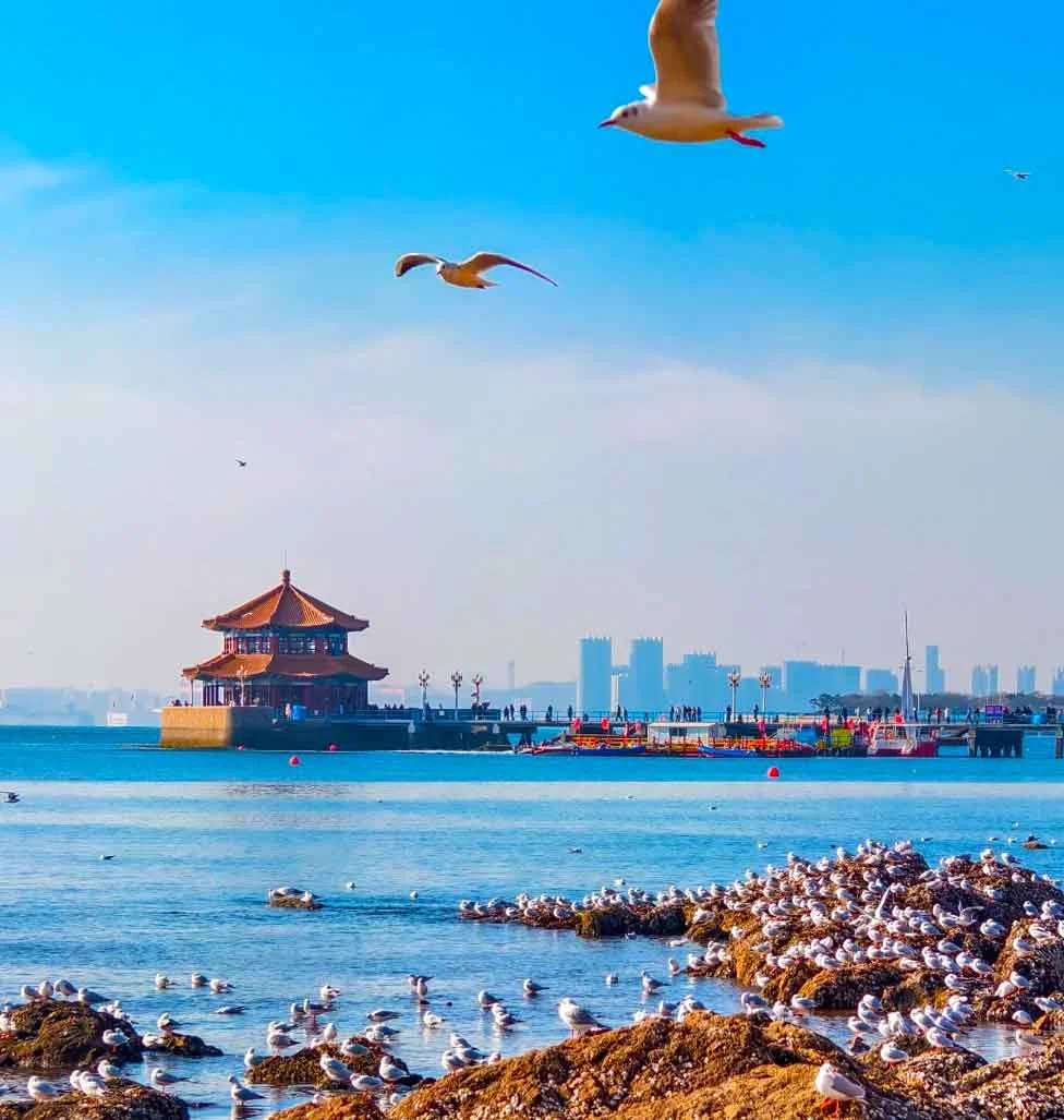 Zhanqiao Pier ชิงเต่า จีน