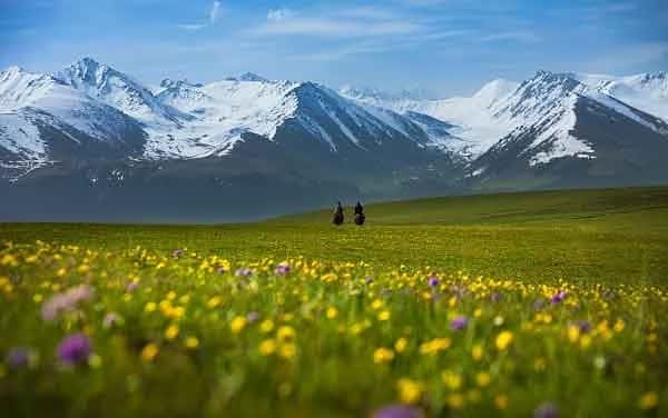 Kalajun Grassland ซินเจียง จีน