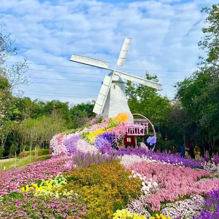 Shenzhen Dutch Flower Town เซินเจิ้น จีน