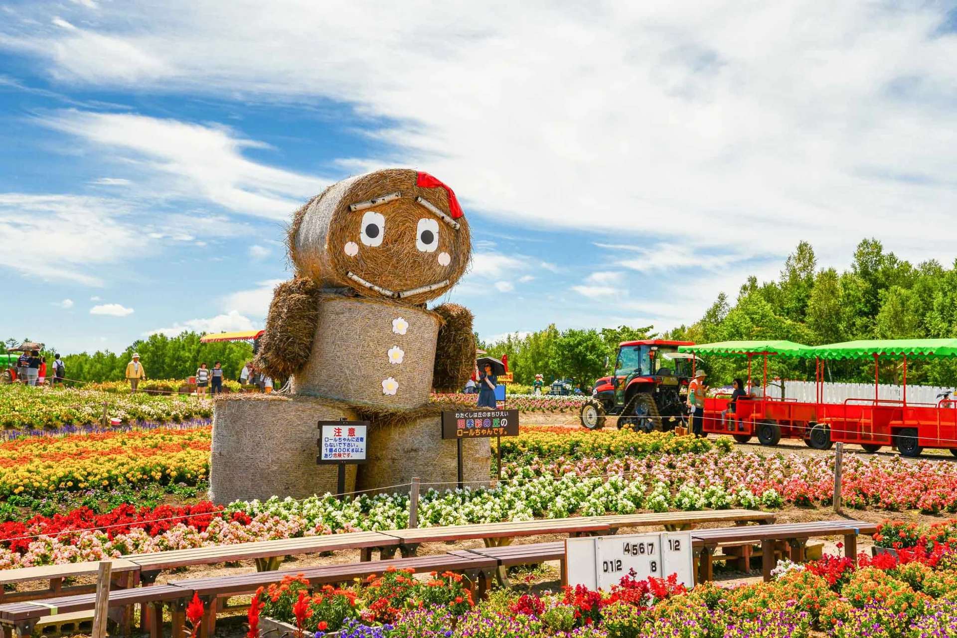Farm Tomita ฮอกไกโด ญี่ปุ่น