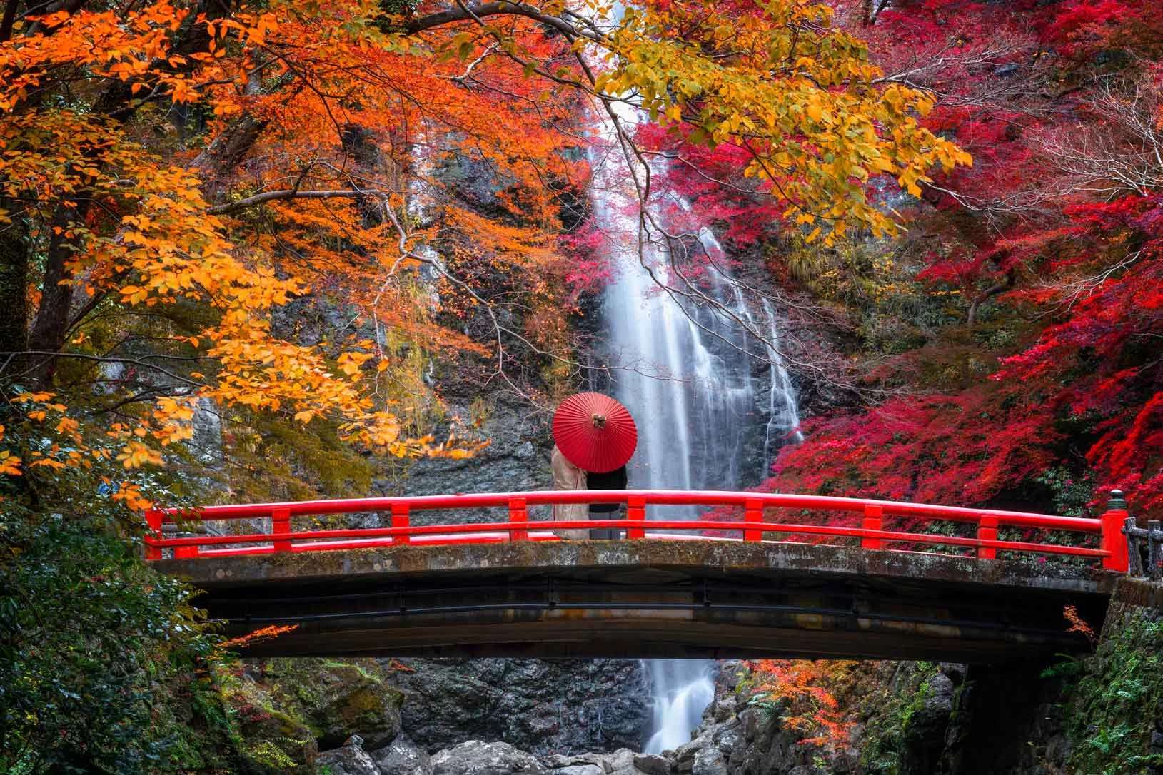Minoh Waterfall โอซาก้า ญี่ปุ่น