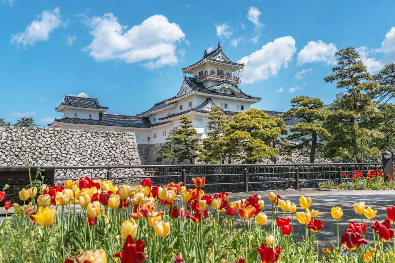 Toyama Castle โทยามะ ญี่ปุ่น