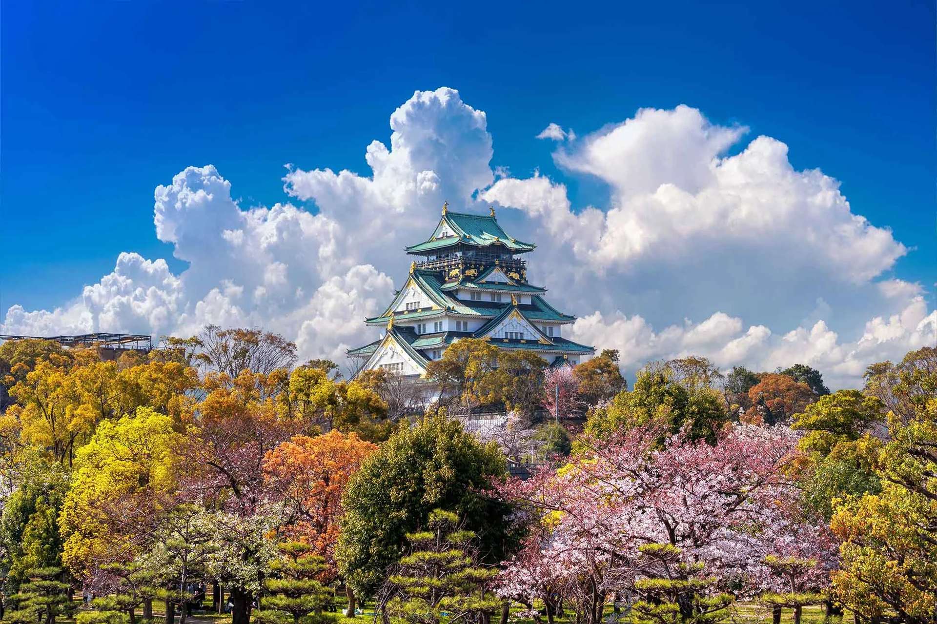 Osaka Castle โอซาก้า ญี่ปุ่น