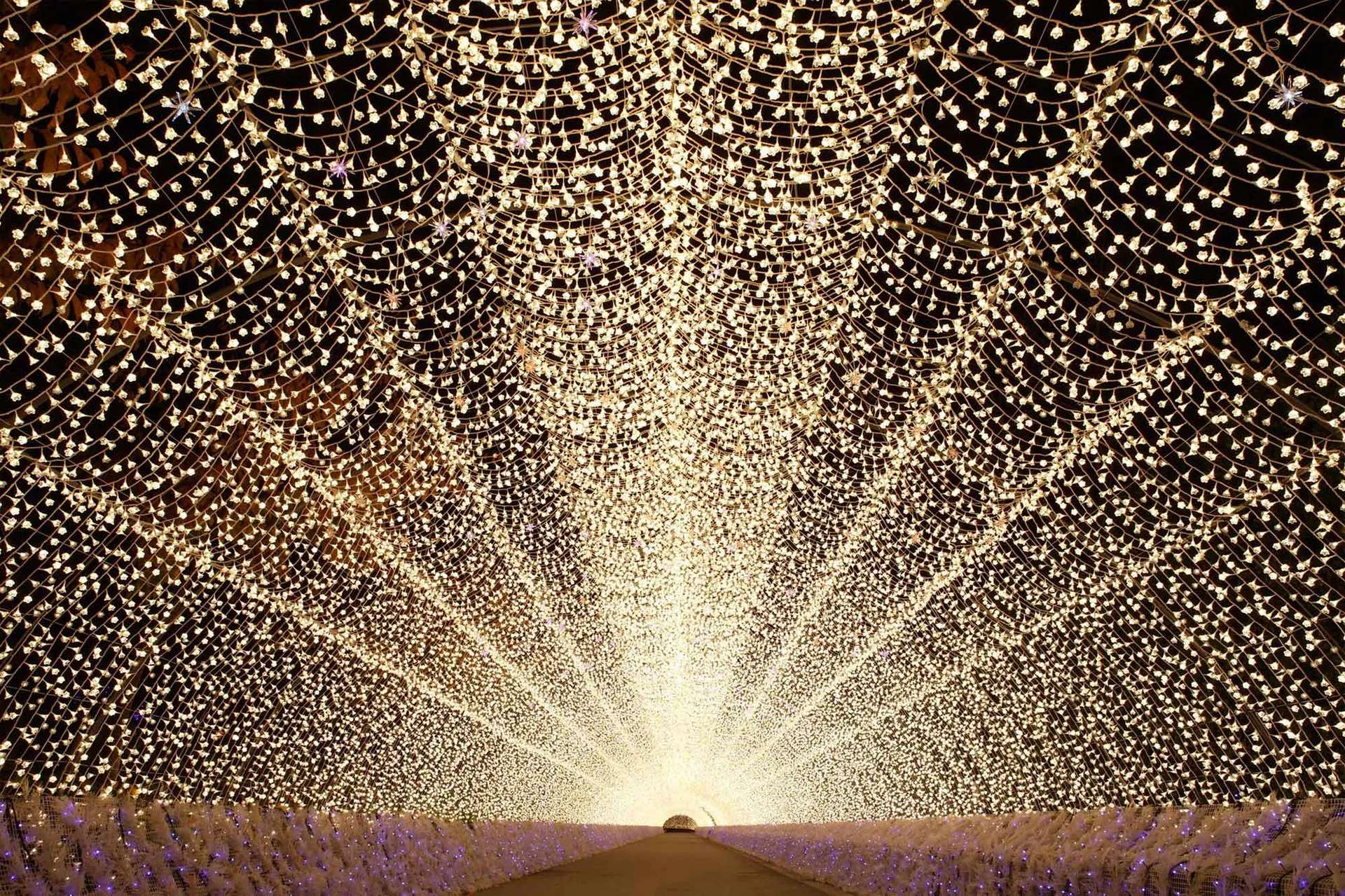 Nabana no sato Winter Illumination โอซาก้า ญี่ปุ่น