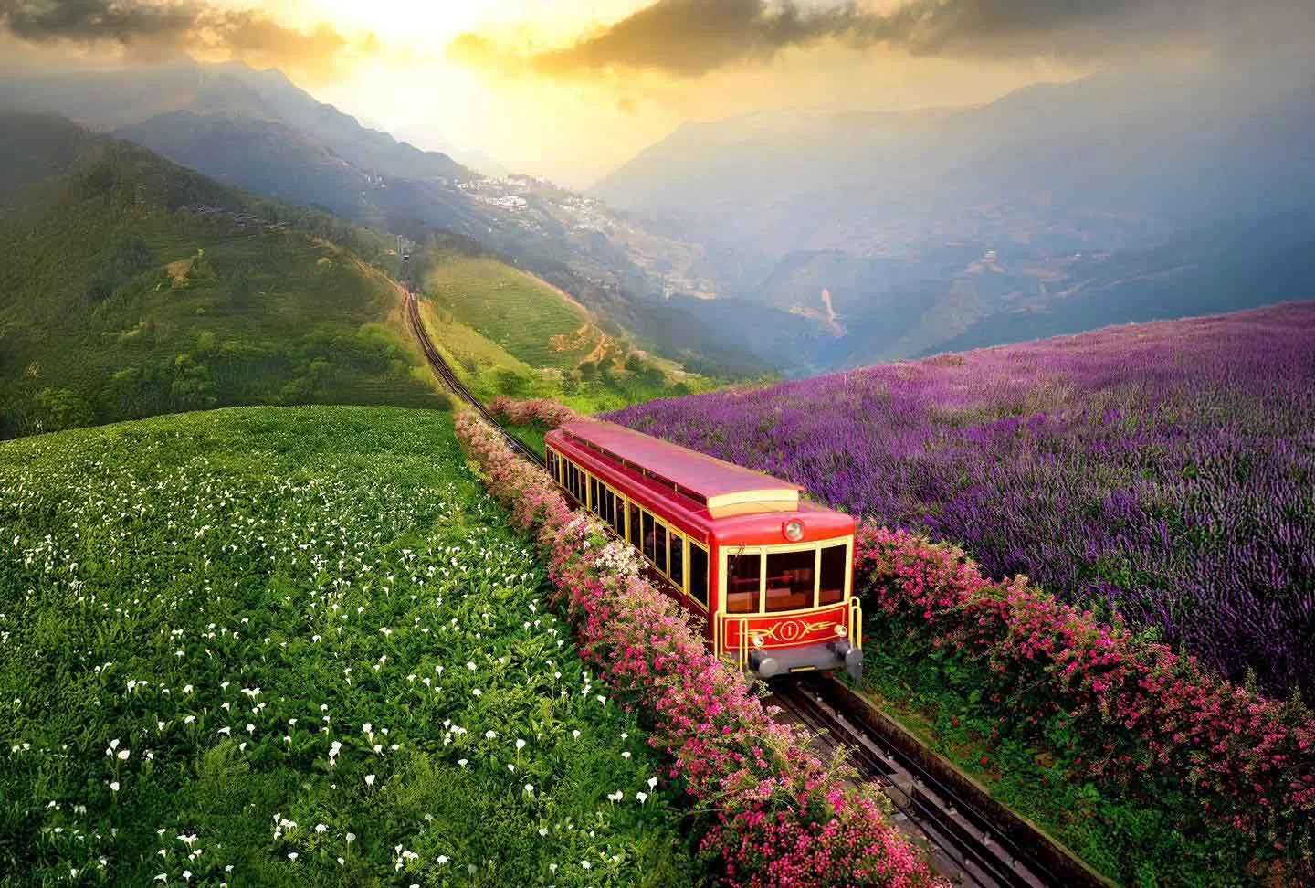 Muong Hoa Mountain Railway ซาปา เวียดนาม
