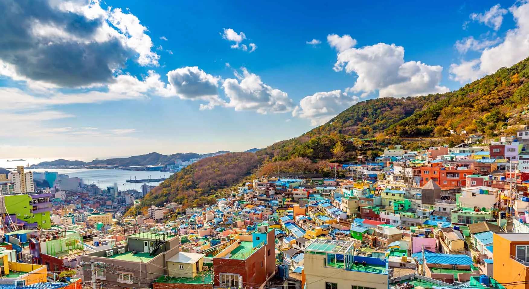 Gamcheon Culture Village ปูซาน เกาหลีใต้