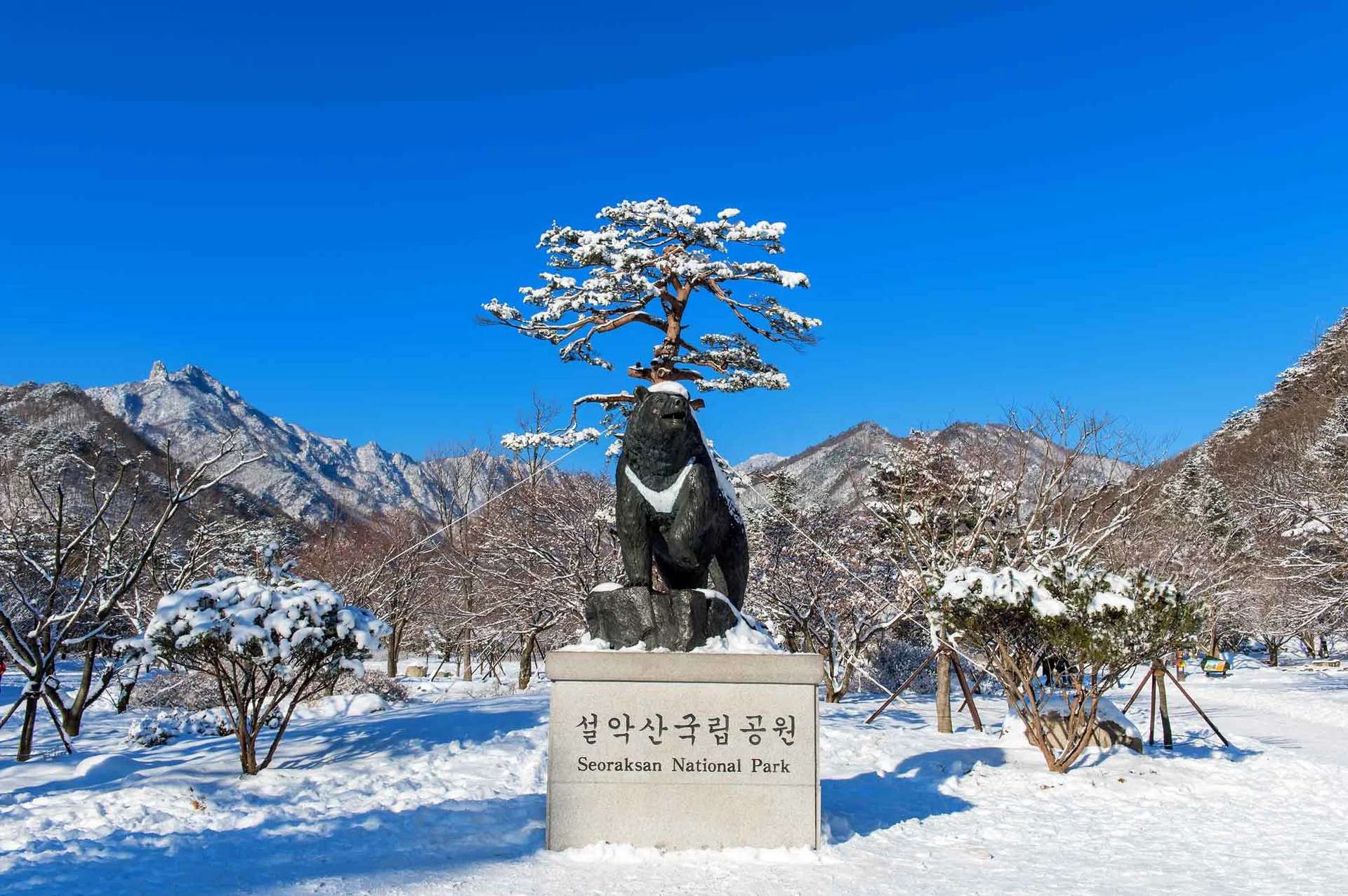 Seoraksan National Park คังวอน เกาหลีใต้