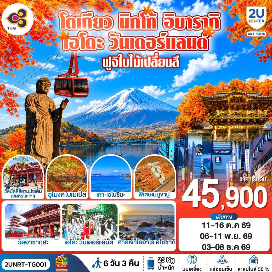 ทัวร์ญี่ปุ่น โตเกียว นิกโก้ เอโดะ วันเดอร์แลนด์ ฟูจิใบไม้เปลี่ยนสี 6 วัน 3 คืน