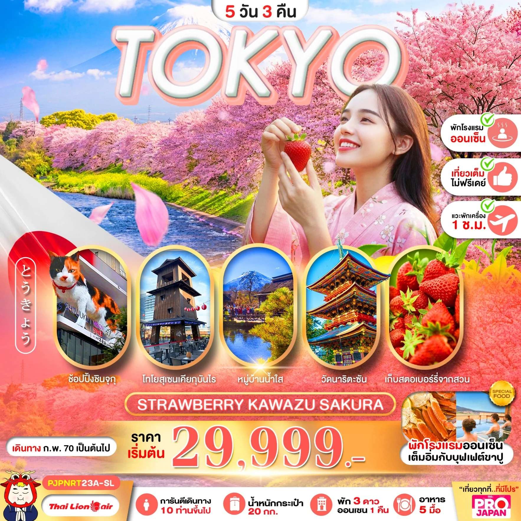 ทัวร์ญี่ปุ่น โตเกียว คาวาซุ ชมเทศกาลซากุระ เก็บสตรอว์เบอร์รี่ ช้อปปิ้งชิจุกุ ชมแมวยักษ์ 3 มิติ 5 วัน 3 คืน