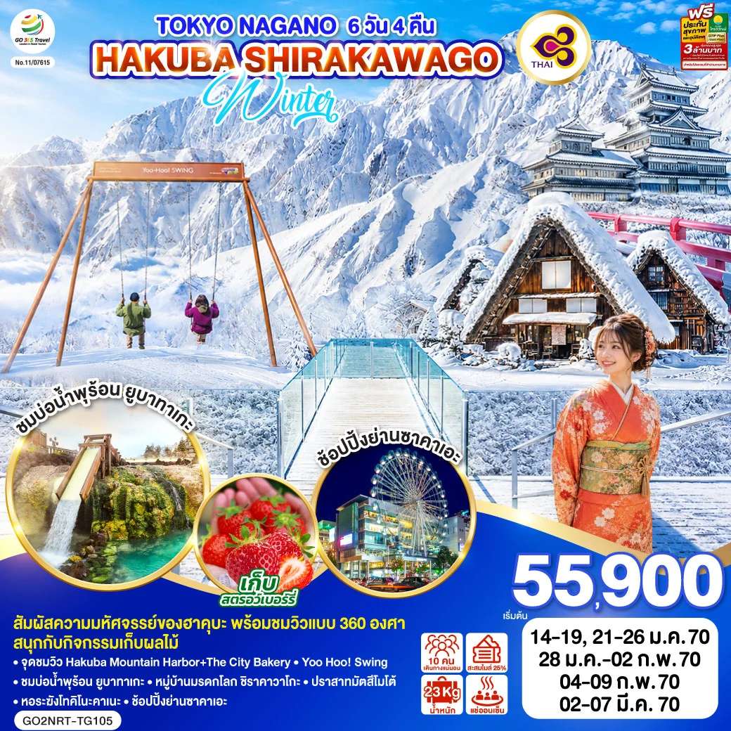 ทัวร์ญี่ปุ่น โตเกียว นากาโนะ ฮาคุบะ ชิราคาวาโกะ เก็บสตรอว์เบอร์รี ถนนนากามิเสะ 6 วัน 4 คืน