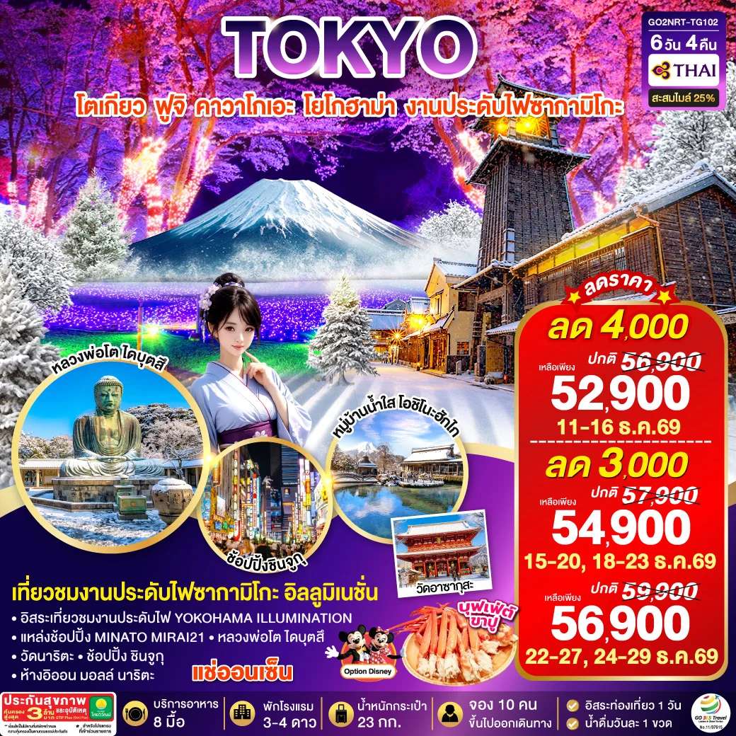 ทัวร์ญี่ปุ่น TOKYO FUJI YOKOHAMA ILLUMINATION WINTER 6D 4N โดยสายการบินไทย [TG]