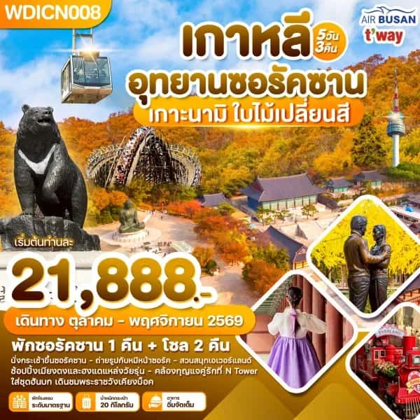 NT202605058-ทัวร์เกาหลี อุทยานซอรัคซาน เกาะนามิ ใบไม้เปลี่ยนสี 5วัน 3คืน-custom