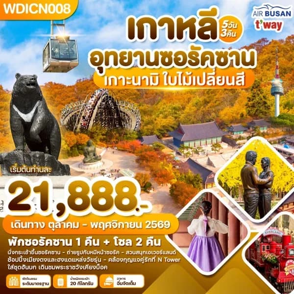 NT202605058-ทัวร์เกาหลี อุทยานซอรัคซาน เกาะนามิ ใบไม้เปลี่ยนสี 5วัน 3คืน-custom