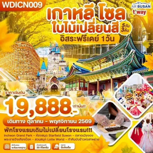 NT202605059-ทัวร์เกาหลี โซล ใบไม้เปลี่ยนสี อิสระฟรีเดย์ 1วัน 5วัน 3คืน-custom
