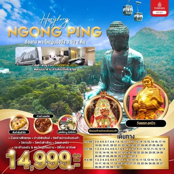 NT202605101-ทัวร์ฮ่องกง พระใหญ่นองปิง 3 วัน 2 คืน-custom