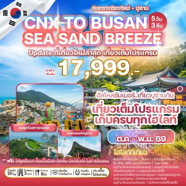 NT202605113-ทัวร์เกาหลี บินตรงเชียงใหม่  ปูซาน  หมู่บ้านวัฒนธรรมฮวินนยออุล 5 วัน 3 คืน-custom