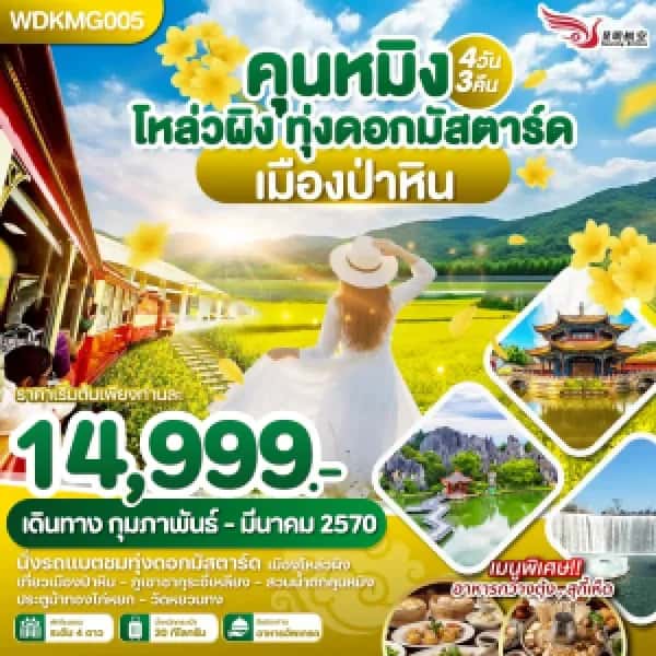 NT202607174-ทัวร์คุนหมิง โหล่วผิง ทุ่งดอกมัสตาร์ด เมืองป่าหิน 4วัน 3คืน บิน KY-custom