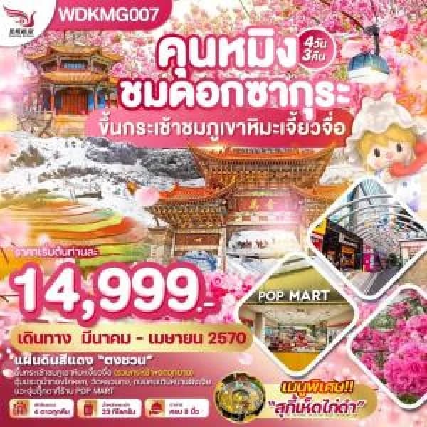 NT202607176-ทัวร์คุนหมิง ชมดอกซากุระ ขึ้นกระเช้าชมภูเขาหิมะเจี้ยวจื่อ 4วัน 3คืน บินKY-custom