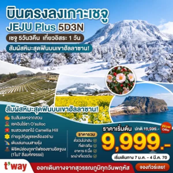 NT202607258-ทัวร์เกาหลี JEJU PLUS 5D 3N-custom