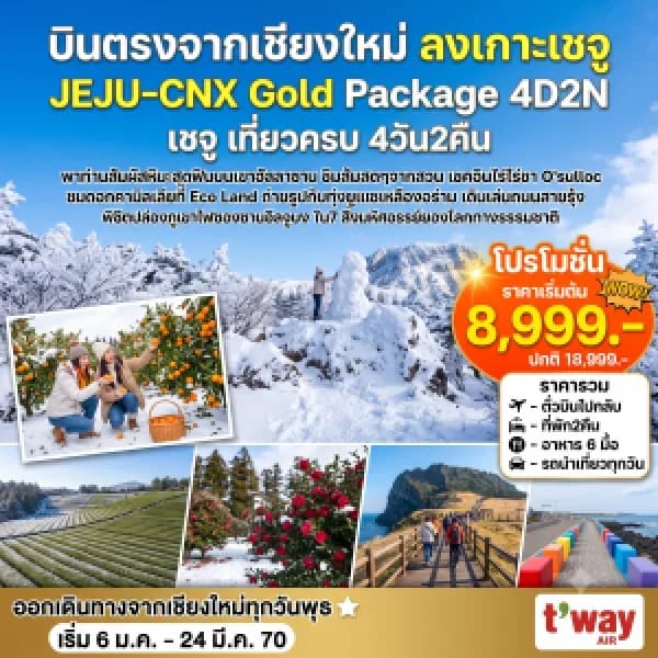 NT202607260-ทัวร์เกาหลี JEJU - CNX GOLD PACKAGE 4D 2N-custom