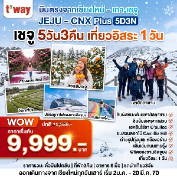 NT202607261-ทัวร์เกาหลี Jeju  CNX-CJU Plus Winter อิสระ 1 วัน  5D 3N-custom