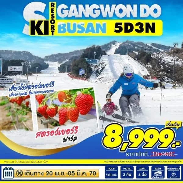 NT202607275-ทัวร์เกาหลี Busan-Ski Gangwondo 5วัน 3คืน-custom