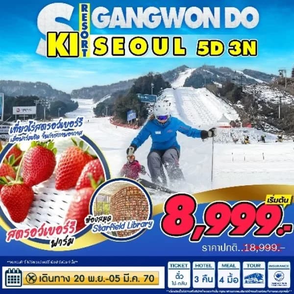 NT202607276-ทัวร์เกาหลี Seoul-Ski Gangwondo 5วัน 3คืน-custom