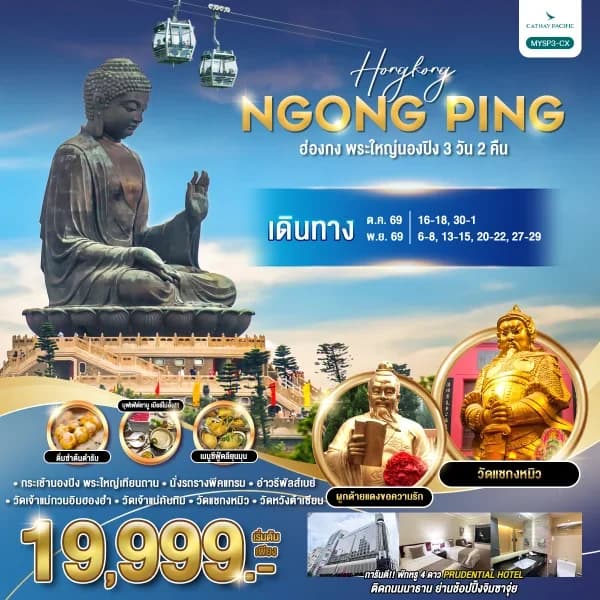 NT202608326-ทัวร์ฮ่องกง พระใหญ่นองปิง วัดเจ้าแม่กวนอิมฮองฮำ 3 วัน 2 คืน-custom