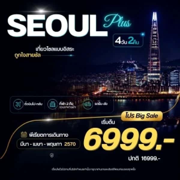 NT202608344-ทัวร์เกาหลีใต้ โซล พลัส เที่ยวโซลแบบอิสระ 4 วัน 2 คืน-custom
