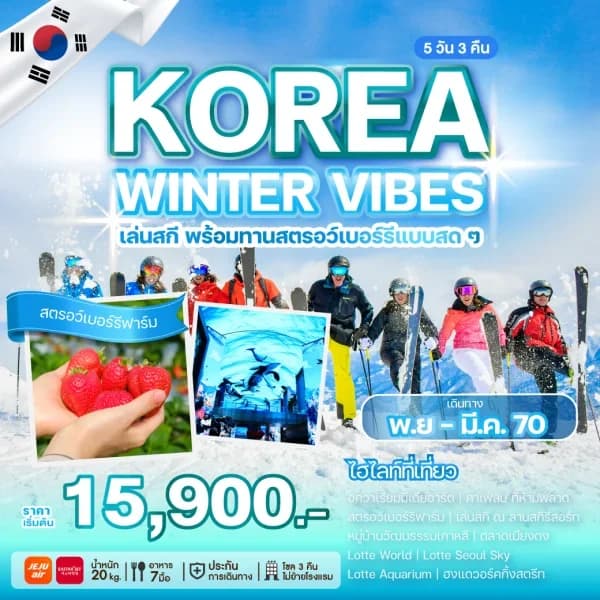 NT202608560-ทัวร์เกาหลี KOREA WINTER VIBES 5 วัน 3 คืน-custom