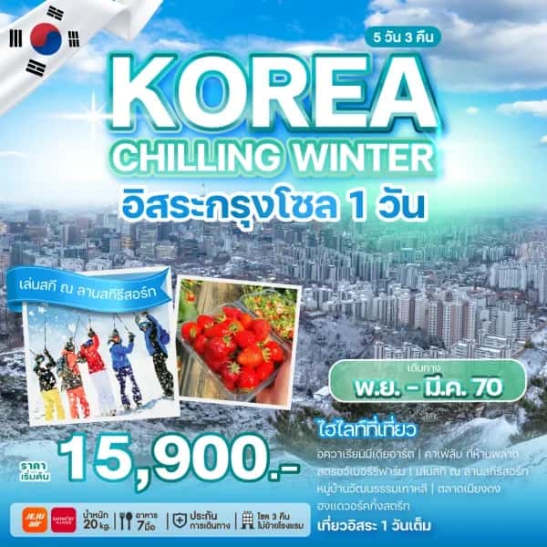 NT202608561-ทัวร์เกาหลี KOREA CHILLING WINTER 5 วัน 3 คืน-custom