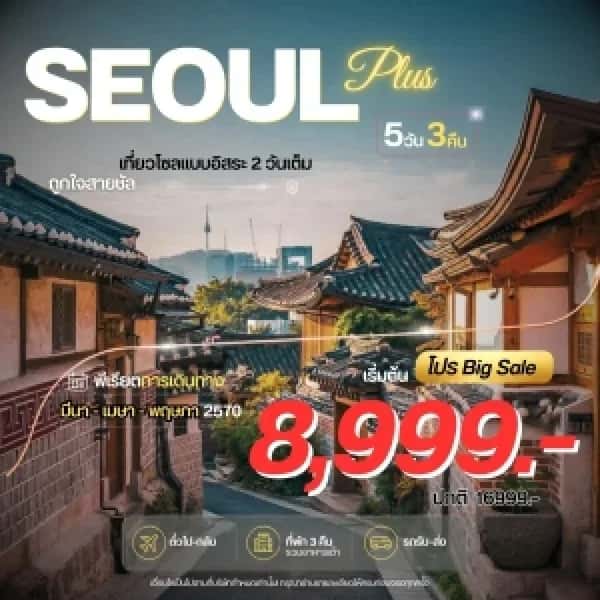 NT202608566-ทัวร์เกาหลี โซลพลัส 5 วัน 3 คืน-custom