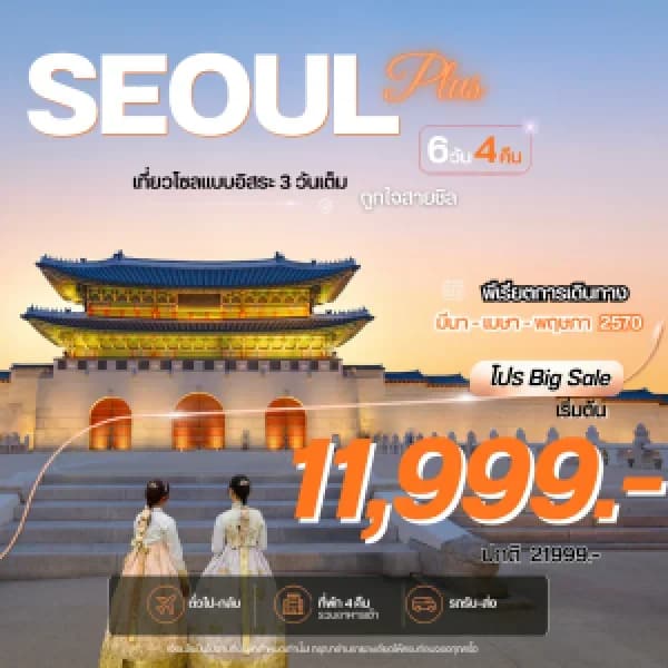 NT202608567-ทัวร์เกาหลี โซลพลัส 6 วัน 4 คืน-custom