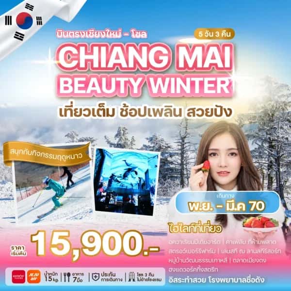 NT202609822-ทัวร์เกาหลี อินชอน เล่นสกี หมู่บ้านวัฒนธรรมเกาหลี  อิสระทำสวย  5 วัน 3 คืน-custom
