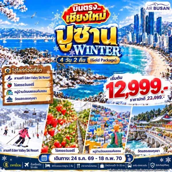 NT202610521-ทัวร์เกาหลี บินตรงเชียงใหม่ ปูซาน วิน เทอร์ 4 วัน 2 คืน-custom