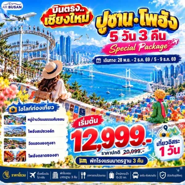 NT202610526-ทัวร์เกาหลี บินตรงเชียงใหม่ ปูซาน โพฮัง หมู่บ้านวัฒนธรรมคัมชอน โพฮังสเปซวอล์ค หมู่บ้านฮวินยออุล 5 วัน 3 คืน-custom
