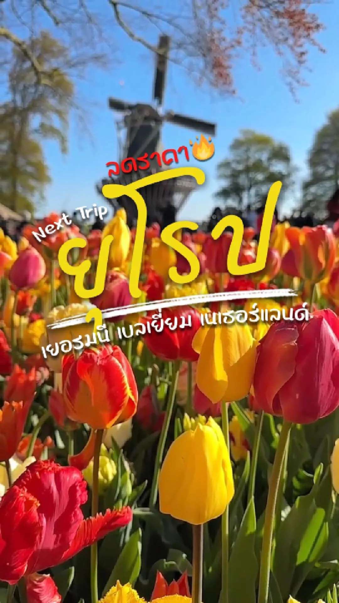 📌Next Trip ลดราคา ยุโรป✨ เยอรมนี ลักเซมเบิร์ก เบลเยี่ยม เนเธอร์แลนด์🌷