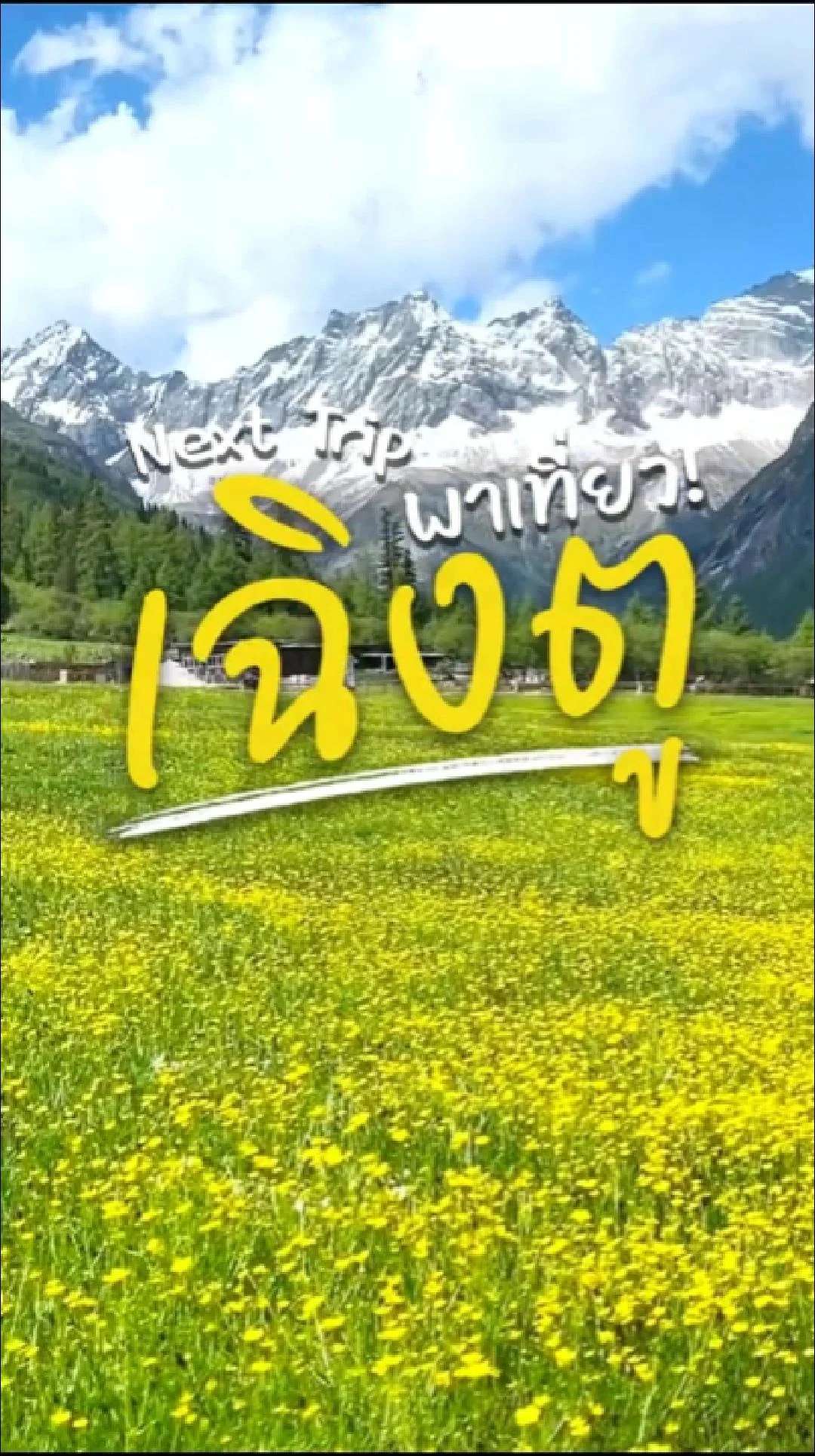 📣 Next Trip พาเที่ยว เฉิงตู สี่ดรุณี ตึกแฝด น้ำพุไม้ไผ่