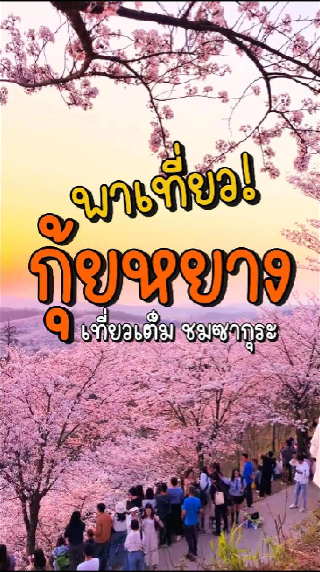 📣 Next Trip พาเที่ยว เที่ยวเต็ม ชมซากุระ✨