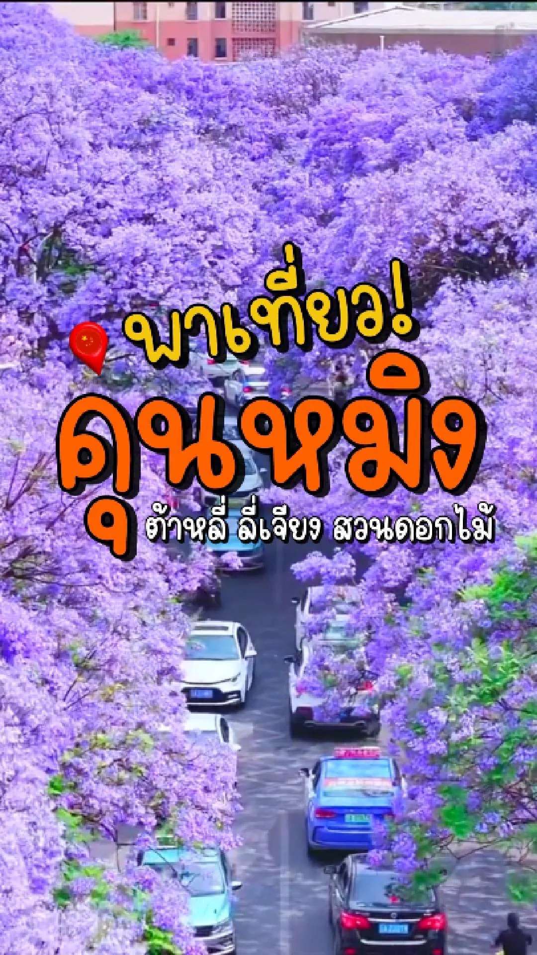 📣 Next Trip พาเที่ยว คุนหมิง 🪻 ต้าหลี่ ลี่เจียง ชมดอกไม้✨