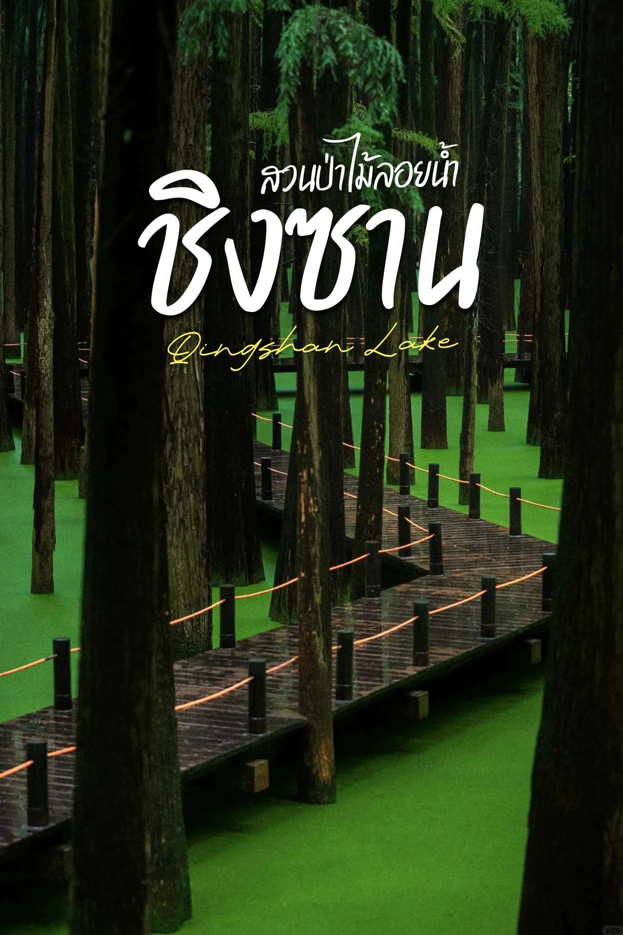 🇨🇳 ความลึกลับและสวยงามอันทรงพลังของธรรมชาติที่ ทะเลสาบชิงซาน🍃🤍