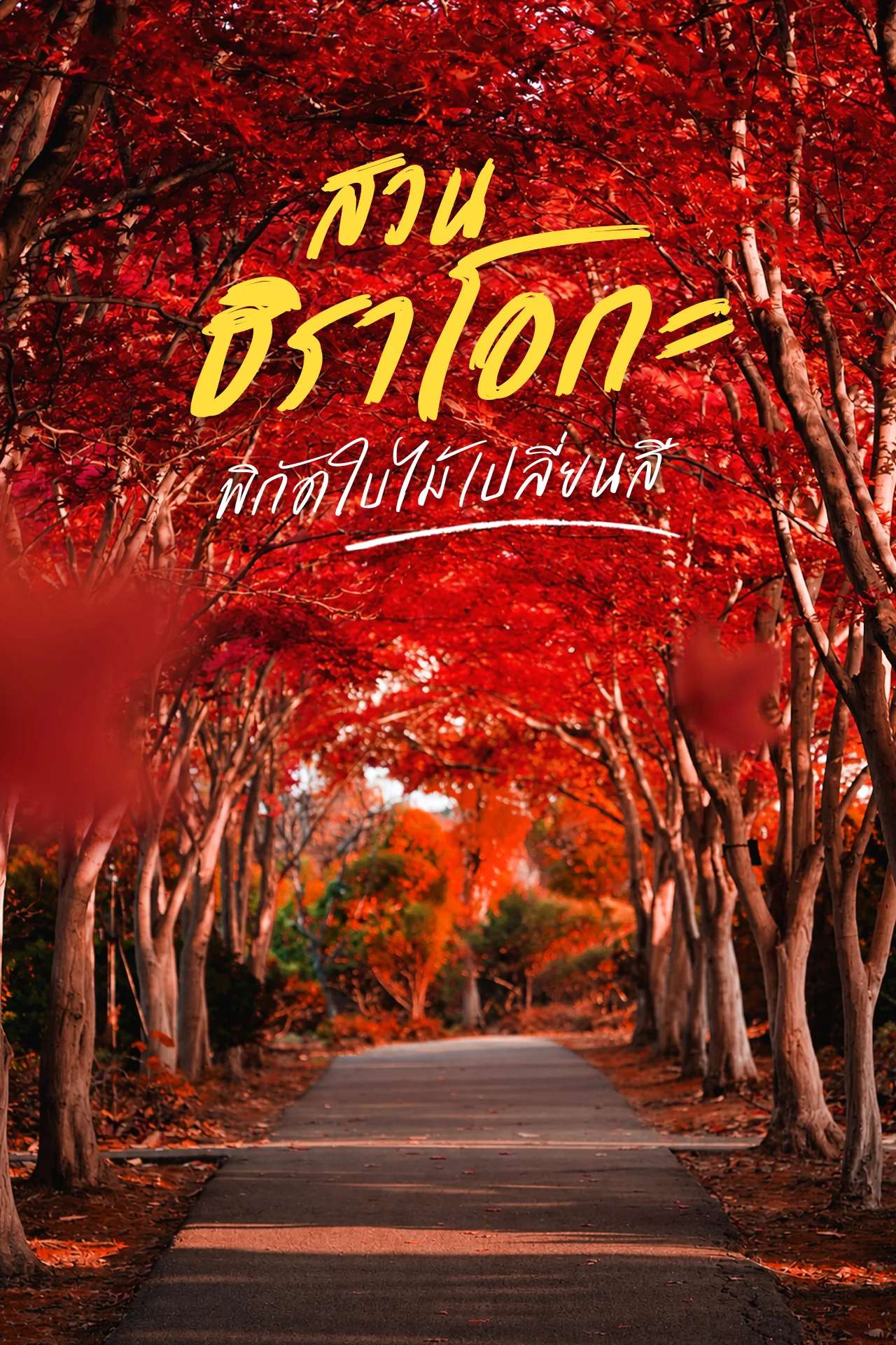 พิกัดใบไม้เปลี่ยนสี สวนฮิราโอกะ ซัปโปโร ประเทศญี่ปุ่น