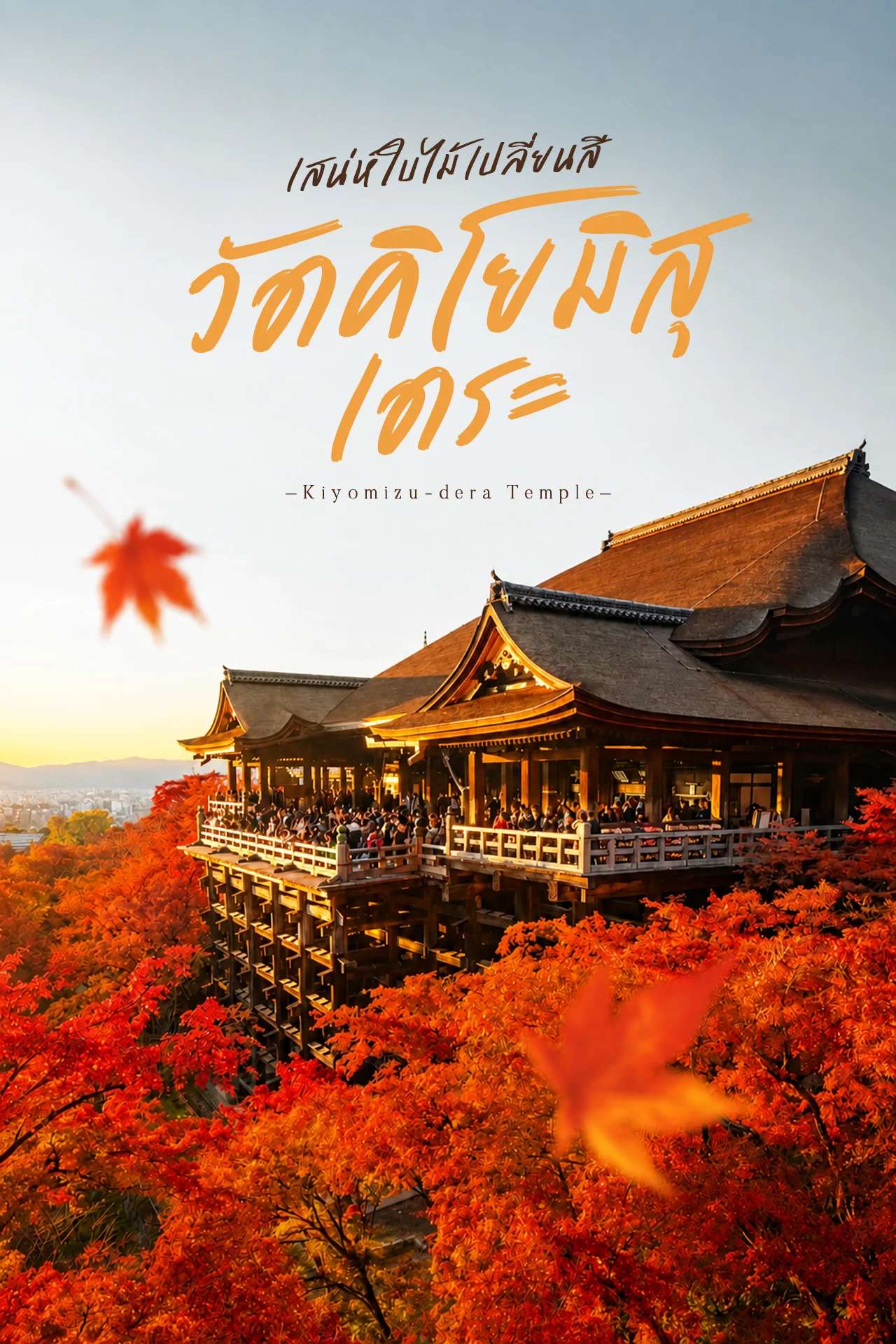 เสน่ห์ใบไม้เปลี่ยนสี วัดคิโยมิสุเดระ (วัดน้ำใส)🍁
