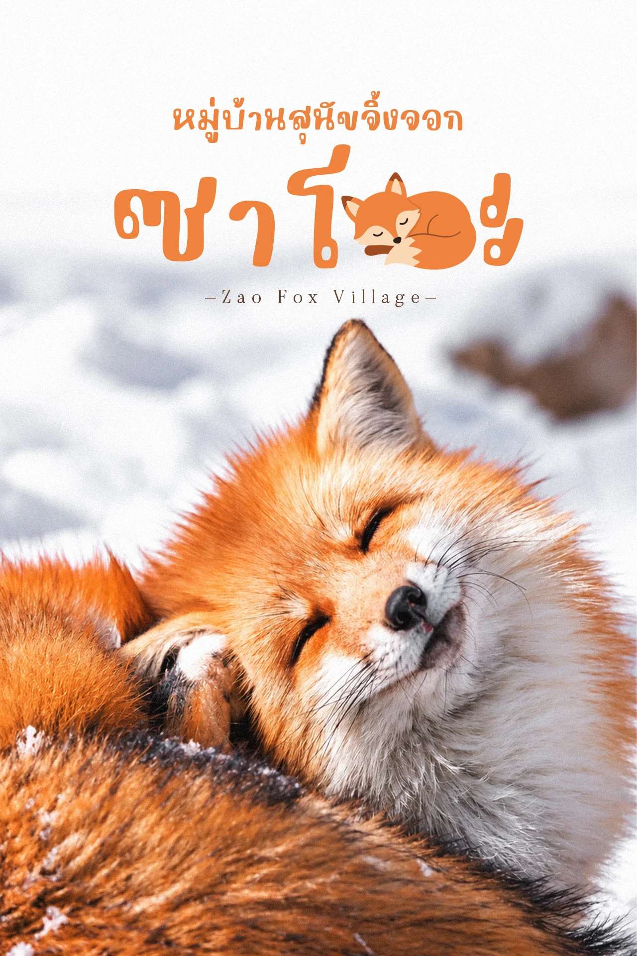 หมู่บ้านสุนัขจิ้งจอกซาโอะ 🦊❄️ เจอจิ้งจอกท่ามกลางหิมะที่ญี่ปุ่น | Zao Fox Village