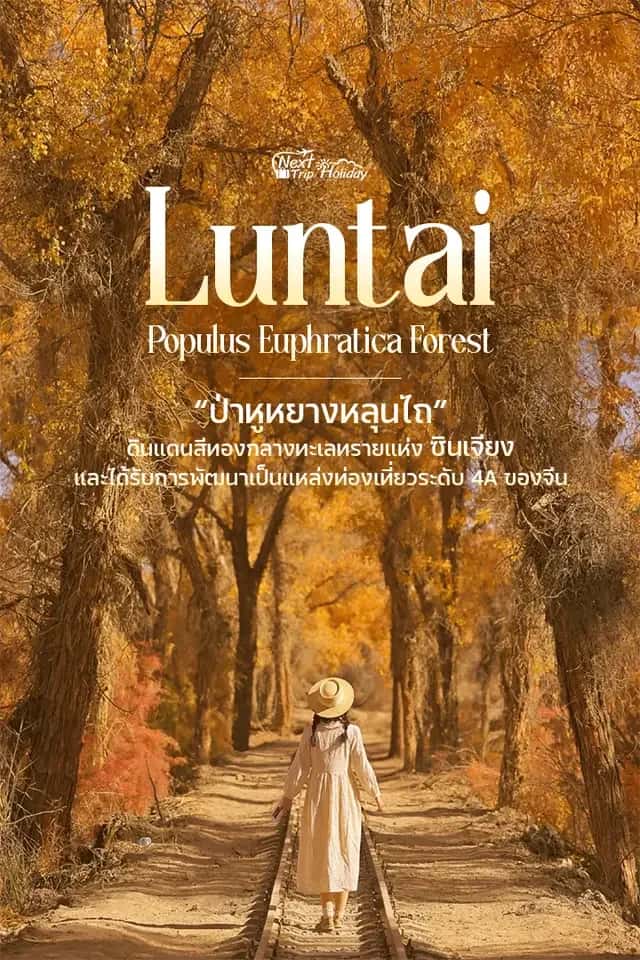ป่าหูหยางหลุนไถ ซินเจียง