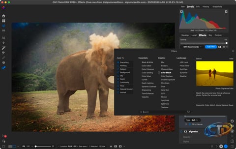ON1 Photo RAW 2026: Honest Buying Advice for Photo Editors